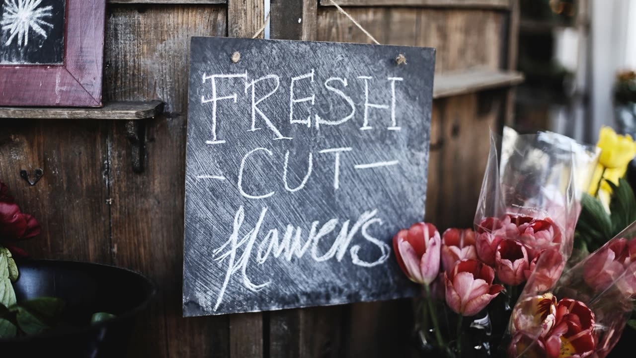 How to Start Using AI in Your Small Business (When You're Not Technical)